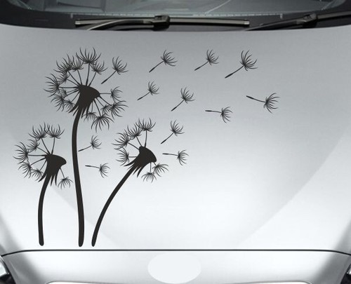Aufkleber auto motorhaube car - aufkleber,