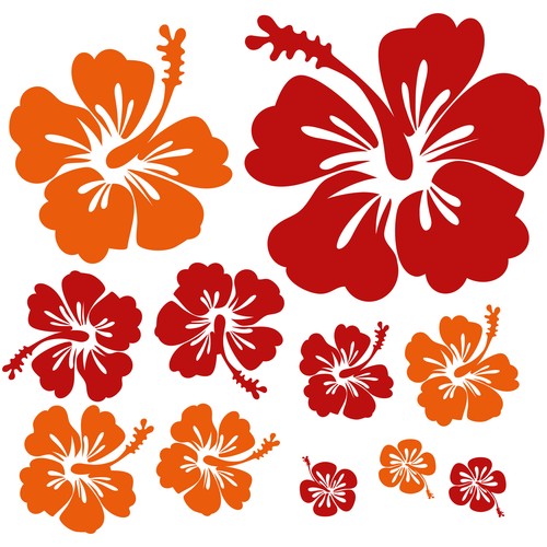 Hibiskus blumen autoaufkleber - blumen,
