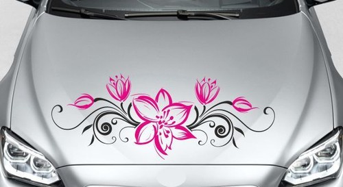 Aufkleber motorhaube auto car - auto,