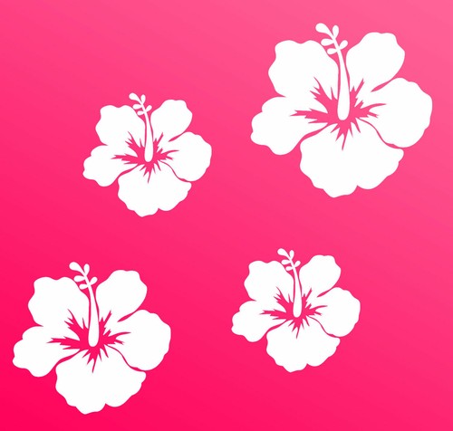 Auto aufkleber hibiskus - auto,