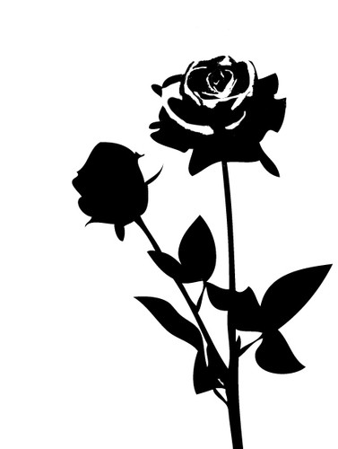 Rose aufkleber auto folie - -,