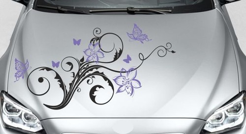 Aufkleber motorhaube auto car - motorhaube,