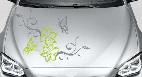 Aufkleber motorhaube auto - motorhaube, car