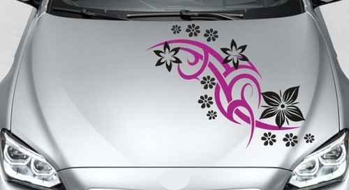 Aufkleber motorhaube auto car - aufkleber,