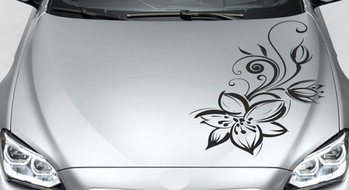 Motorhaubenaufkleber